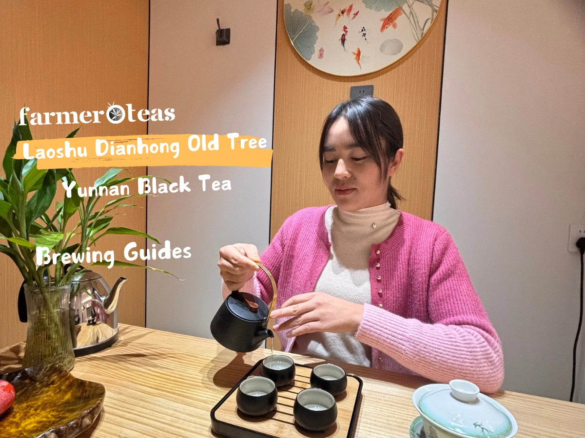 Load video: Brewing Guide for Laoshu Dianhong Tea