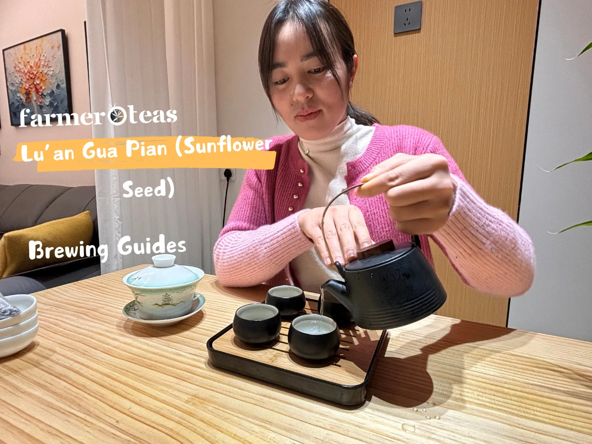 Load video: Lu’an Gua Pian Brewing Guide