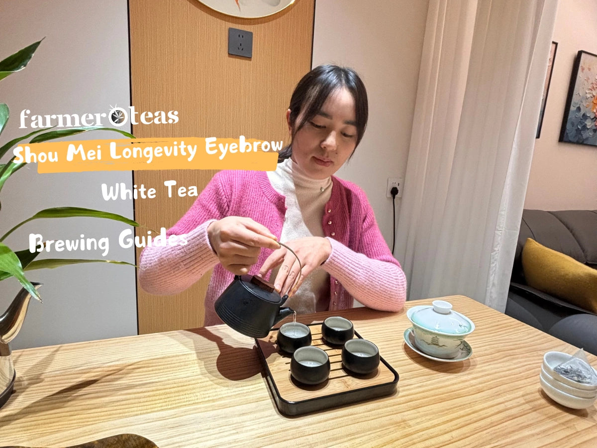 Load video: Brewing Guide for Shou Mei Tea